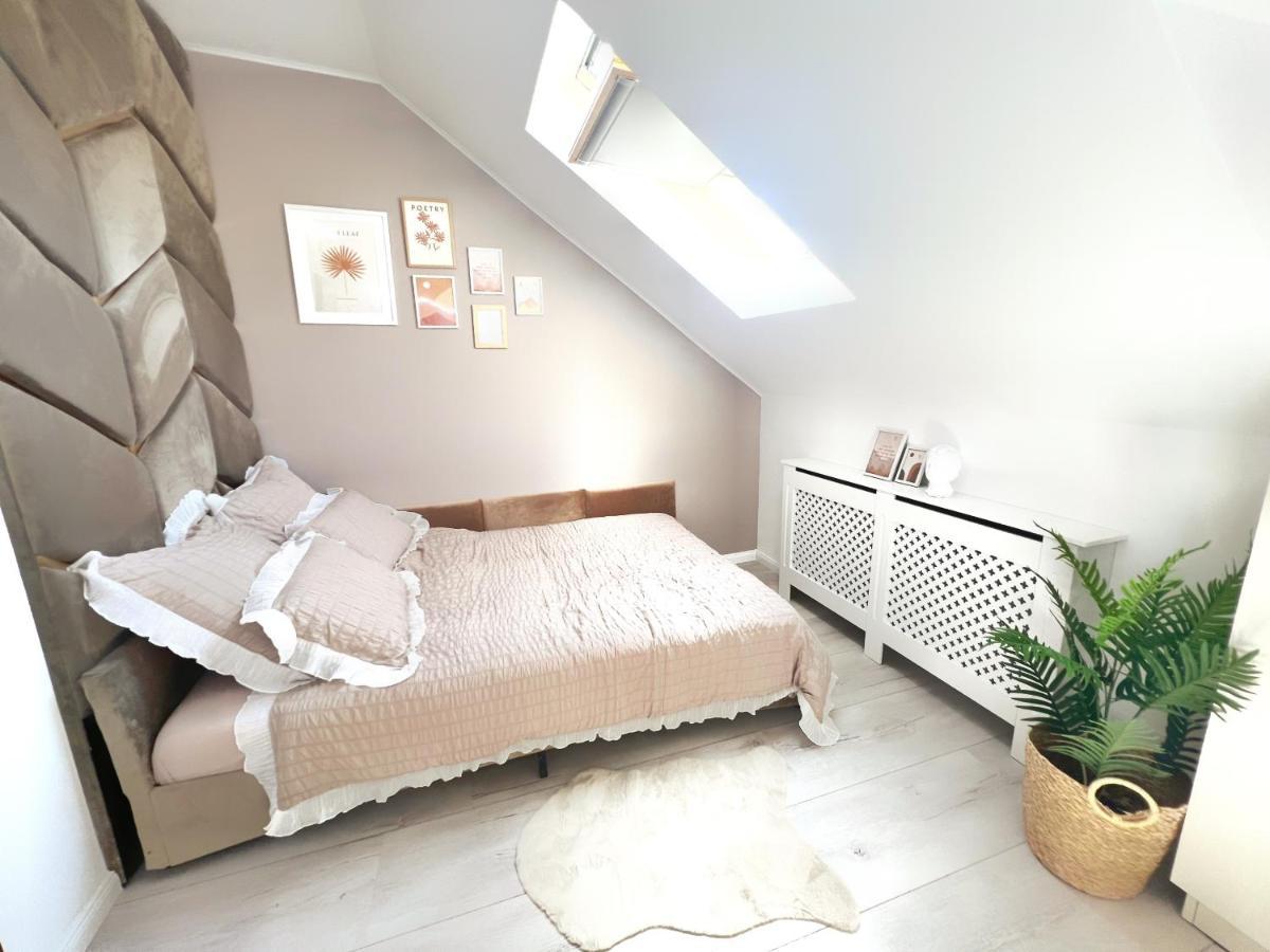 Studio Poienii - A Cozy Stay 5 Min Away From The Center Bistrita  Ngoại thất bức ảnh